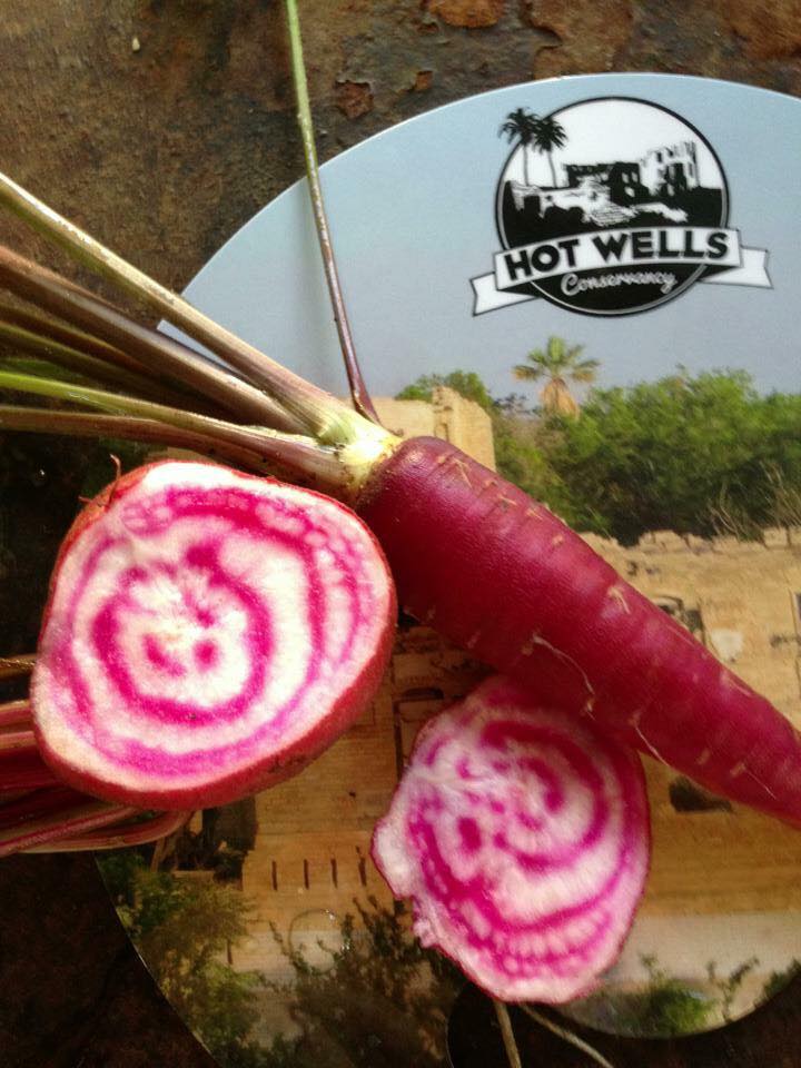 TO EDIBLE SAN ANTONIO Edible San Antonio