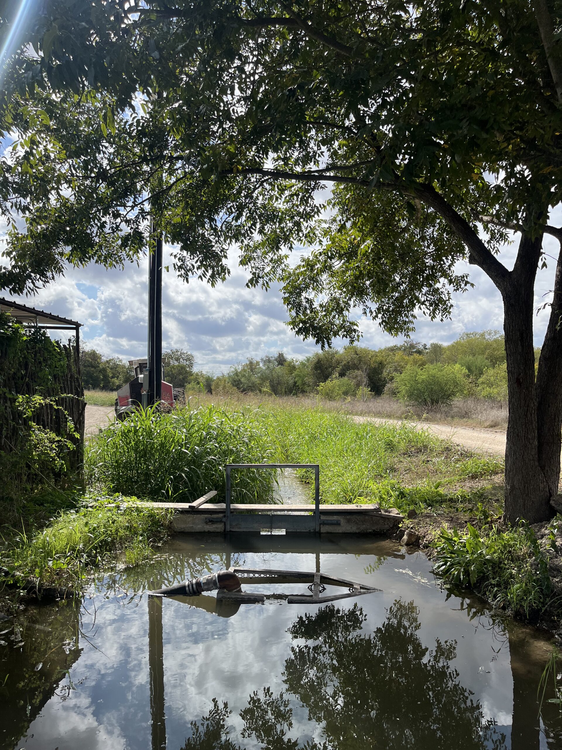 Farm And Garden San Antonio
